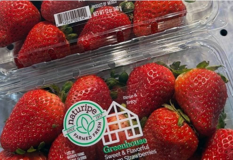 Naturipe Farms primed to quadruple supplies of greenhouse